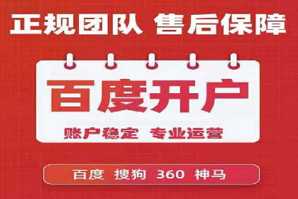 行业领先企业的SEM竞价推广策略揭秘